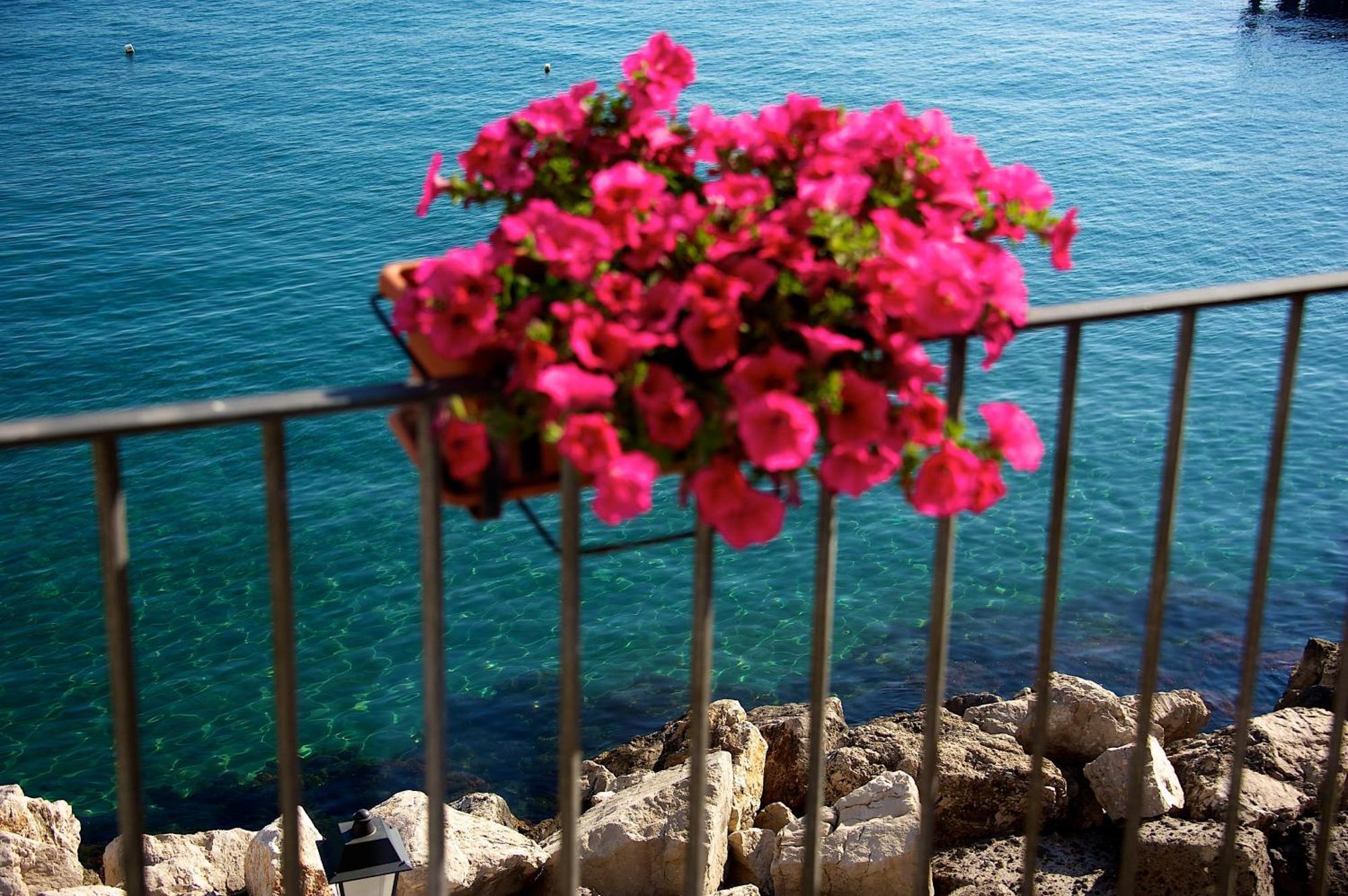 Villa Lieta Ischia Exterior foto